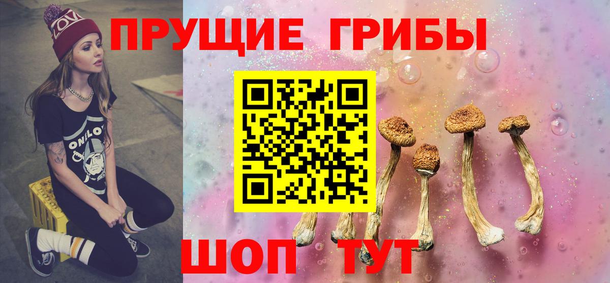 Галлюциногенные грибы прущие грибы  Псилоцибиновые грибы мухоморы  Сухой Лог  Вход с VPN 