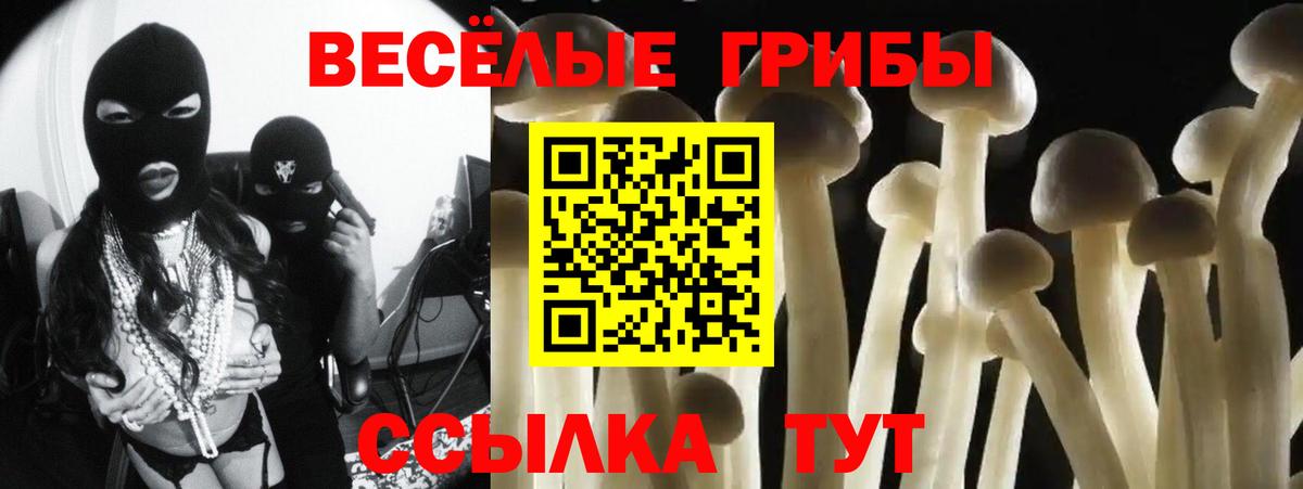 Галлюциногенные грибы Psilocybe Сухой Лог